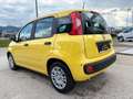 Fiat Pandina Panda 4x2 FireFly Hybrid 70 Pandina Gelb - thumbnail 7