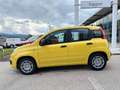 Fiat Pandina Panda 4x2 FireFly Hybrid 70 Pandina Gelb - thumbnail 10
