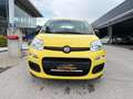 Fiat Pandina Panda 4x2 FireFly Hybrid 70 Pandina Gelb - thumbnail 3