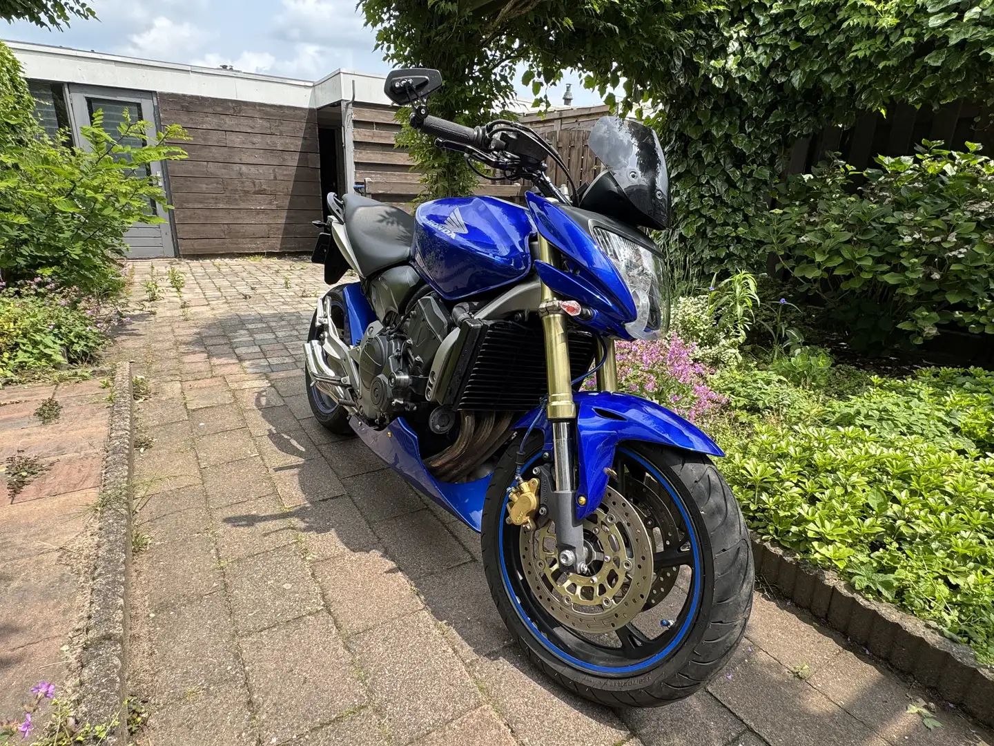 Honda CB 600 F Albastru - 2