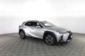 Lexus UX 250h UX Hybrid Design Grau - thumbnail 2