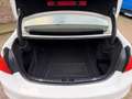 BMW 320 320I EXECUTIVE SPORT Automaat Navi Prof Leer Wit - thumbnail 20