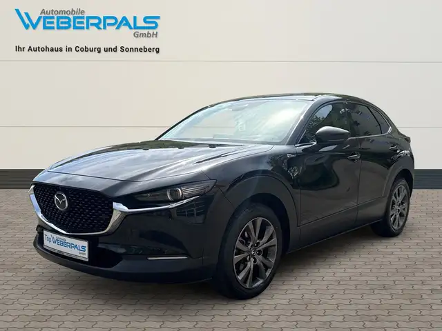 Mazda CX-30 Selection 2WD-BOSE-360°KAMERA-NAVI-SITZHEIZUNG