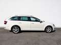 Skoda Octavia Combi 1,0 TSI Style "AHV" Weiß - thumbnail 8