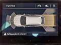 Skoda Octavia Combi 1,0 TSI Style "AHV" Weiß - thumbnail 14
