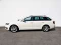 Skoda Octavia Combi 1,0 TSI Style "AHV" Weiß - thumbnail 6