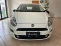 Fiat Punto Punto 5p 1.3 mjt Street s  95Cv Euro 6 White - thumbnail 3
