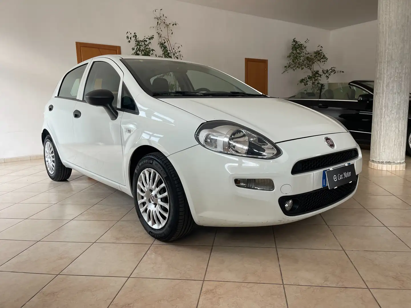 Fiat Punto Punto 5p 1.3 mjt Street s  95Cv Euro 6 bijela - 2