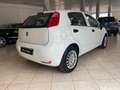 Fiat Punto Punto 5p 1.3 mjt Street s  95Cv Euro 6 White - thumbnail 7