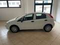 Fiat Punto Punto 5p 1.3 mjt Street s  95Cv Euro 6 White - thumbnail 4