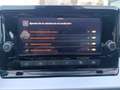 SEAT Ibiza 1.0 TSI S&S FR XS 115 Rojo - thumbnail 18