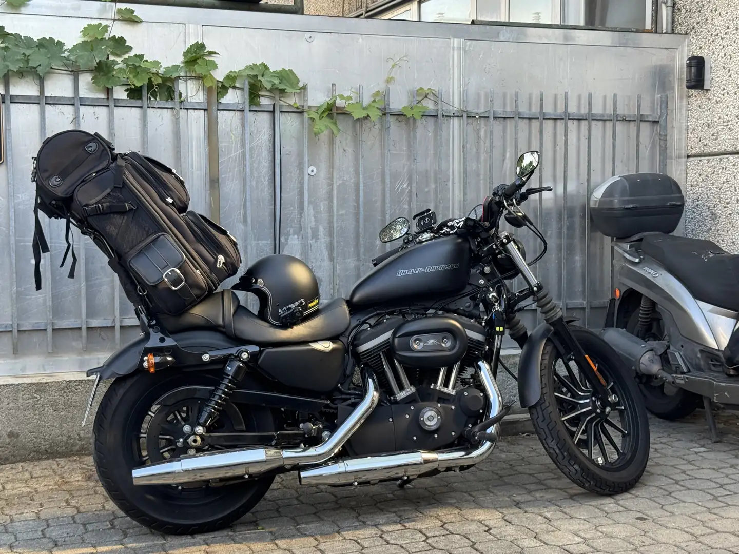 Harley-Davidson Iron 883 iron - 2