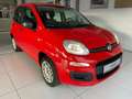 Fiat New Panda 1,2 Klima / PDC / AHK / 1. Hand Rosso - thumbnail 4