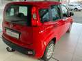 Fiat New Panda 1,2 Klima / PDC / AHK / 1. Hand Czerwony - thumbnail 5