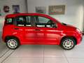 Fiat New Panda 1,2 Klima / PDC / AHK / 1. Hand Kırmızı - thumbnail 3