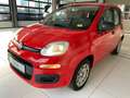 Fiat New Panda 1,2 Klima / PDC / AHK / 1. Hand Rojo - thumbnail 1