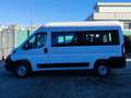Fiat Ducato MH2 2.3 M-JET PASSO MEDIO PANORAMA 9POSTI AUTOVETT Bianco - thumbnail 5