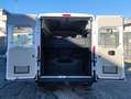 Fiat Ducato MH2 2.3 M-JET PASSO MEDIO PANORAMA 9POSTI AUTOVETT Bianco - thumbnail 14