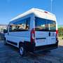 Fiat Ducato MH2 2.3 M-JET PASSO MEDIO PANORAMA 9POSTI AUTOVETT Bianco - thumbnail 4