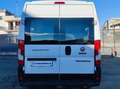 Fiat Ducato MH2 2.3 M-JET PASSO MEDIO PANORAMA 9POSTI AUTOVETT Bianco - thumbnail 3