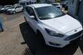 Ford Focus 1.0 Titanium Klima Weiß - thumbnail 6