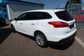 Ford Focus 1.0 Titanium Klima Weiß - thumbnail 8