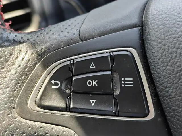 Ford Ecosport view 12