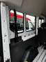 Ford Transit 350 L3H3 Trend KMP Lift Rampe TWA WiPa Blanc - thumbnail 8