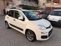 Fiat Panda Panda 1.3 mjt 16v Lounge s Bianco - thumbnail 11