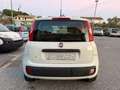 Fiat Panda Panda 1.3 mjt 16v Lounge s Bianco - thumbnail 9