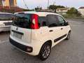 Fiat Panda Panda 1.3 mjt 16v Lounge s Bianco - thumbnail 10