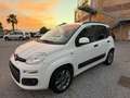 Fiat Panda Panda 1.3 mjt 16v Lounge s Bianco - thumbnail 2