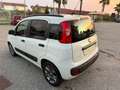 Fiat Panda Panda 1.3 mjt 16v Lounge s Bianco - thumbnail 13
