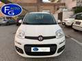 Fiat Panda Panda 1.3 mjt 16v Lounge s Bianco - thumbnail 12