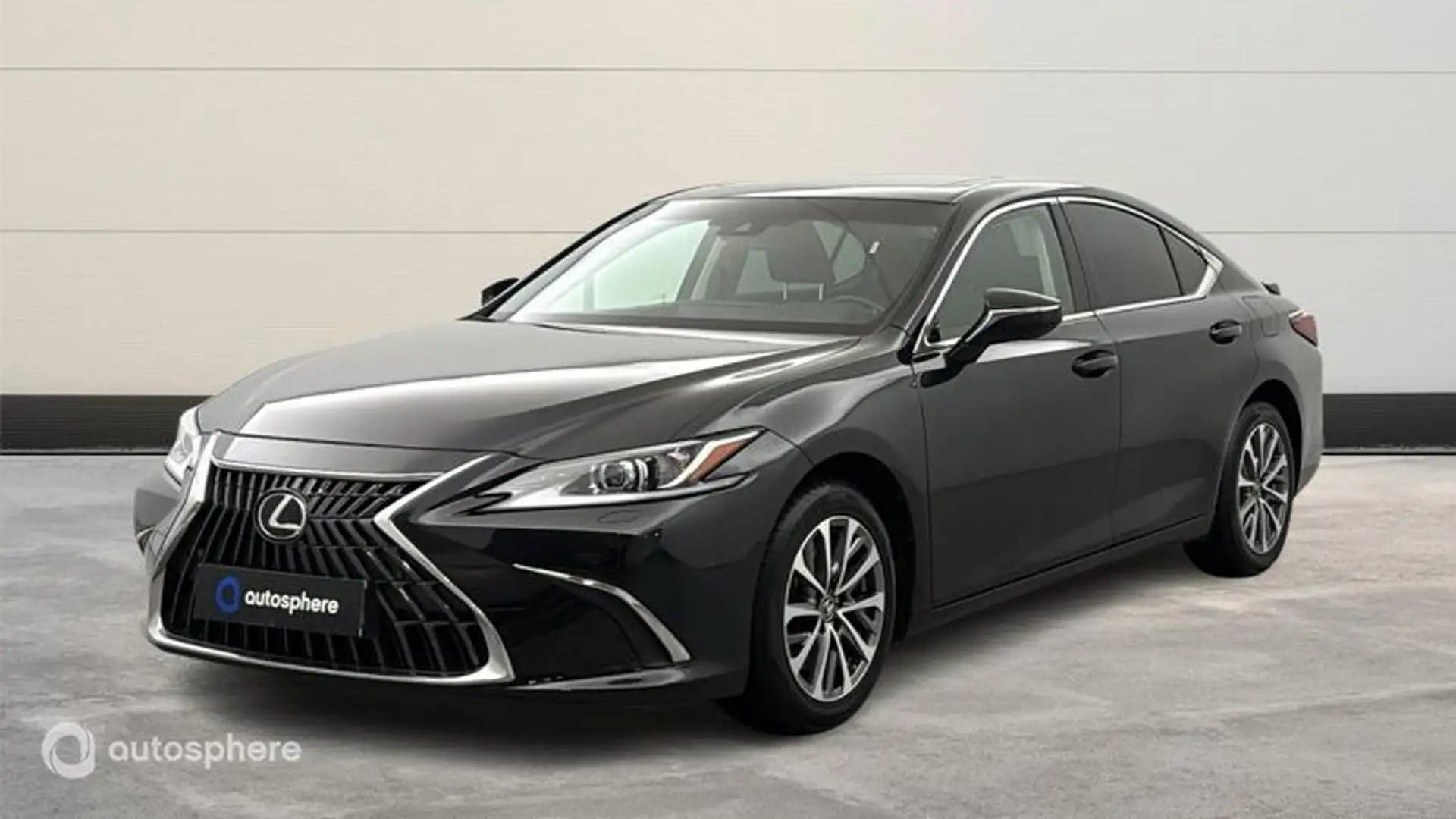 Lexus ES 300 300h Business - 1