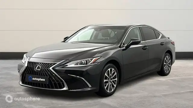 Lexus ES 300 300h Business