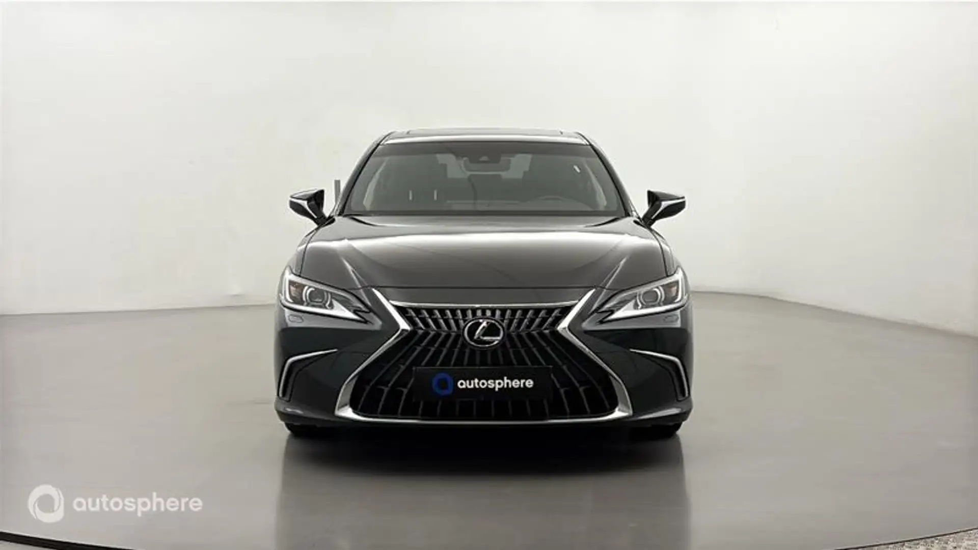 Lexus ES 300 300h Business - 2