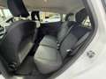 Ford Fiesta 1.5 EcoBlue 5 porte Business Blanc - thumbnail 11
