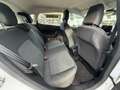 Ford Fiesta 1.5 EcoBlue 5 porte Business Blanc - thumbnail 13
