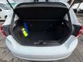 Ford Fiesta 1.5 EcoBlue 5 porte Business Blanc - thumbnail 12