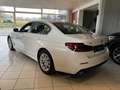 BMW 530 xd 1Hd/unfallfrei/ExclusivNappa/Komfortsitz Weiß - thumbnail 4