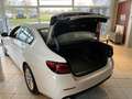 BMW 530 xd 1Hd/unfallfrei/ExclusivNappa/Komfortsitz Weiß - thumbnail 5
