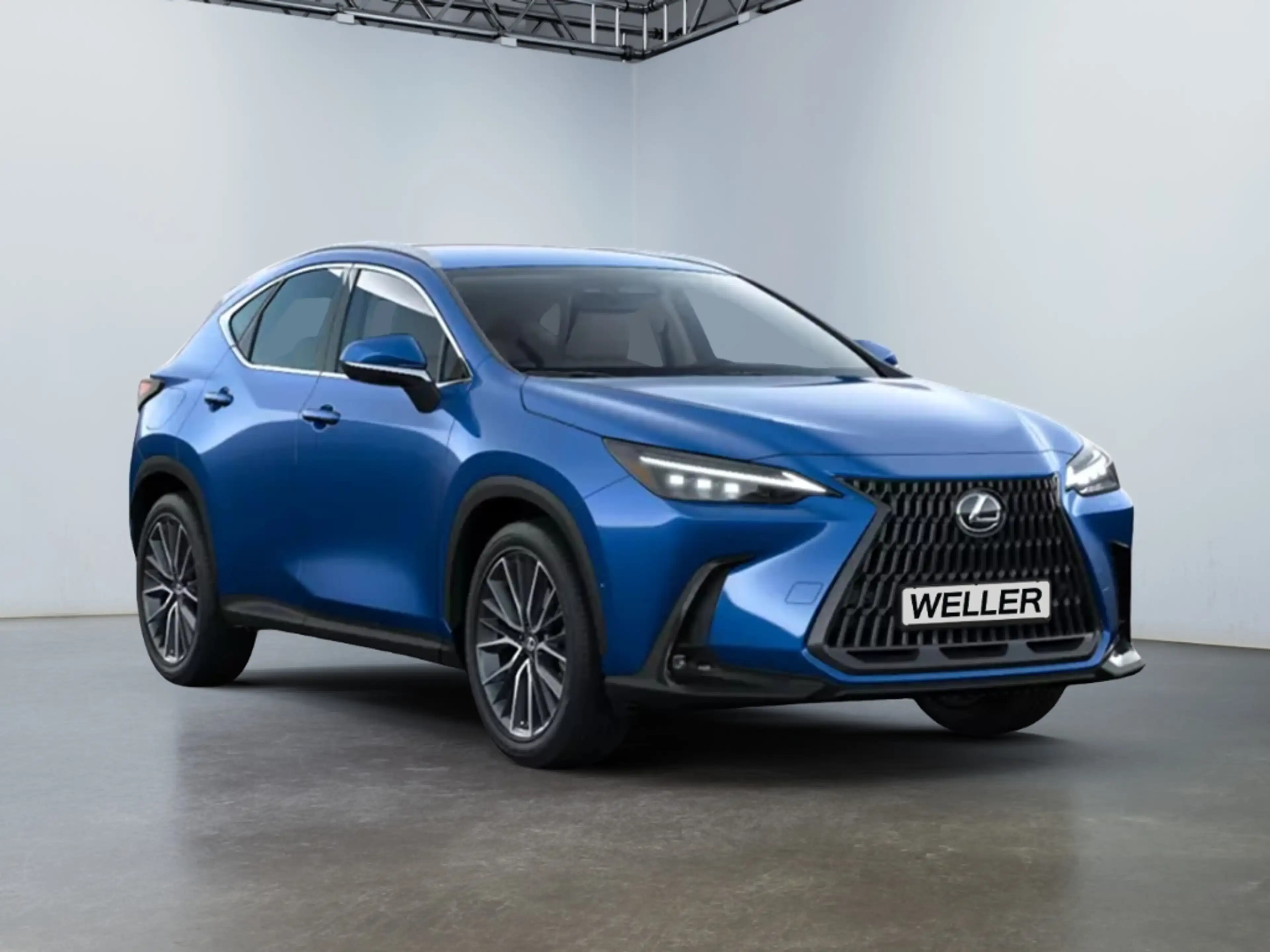 Lexus NX 450h+ Luxury Line — photo 10