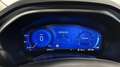 Ford Focus Wagon 1.0 EcoBoost Hybrid Titanium X CAMERA CARPLA Grau - thumbnail 30