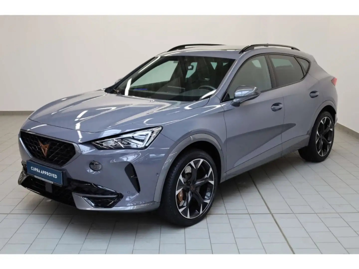 CUPRA Formentor 2.0 TSI 4Drive VZ Grau - 2