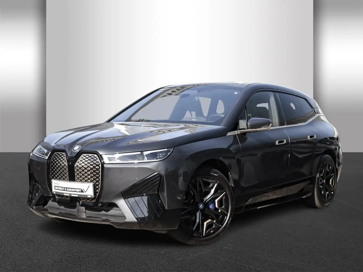 BMW iX xDrive40 Sportpaket Komfortzugang Soft-Close Grau - 2