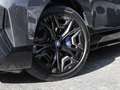 BMW iX xDrive40 Sportpaket Komfortzugang Soft-Close Grau - thumbnail 8