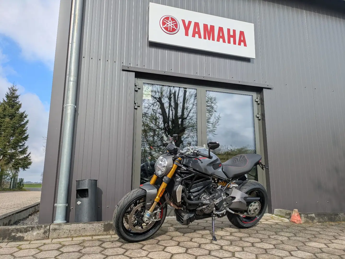 Ducati Monster 1200 S Großer Service Gris - 1