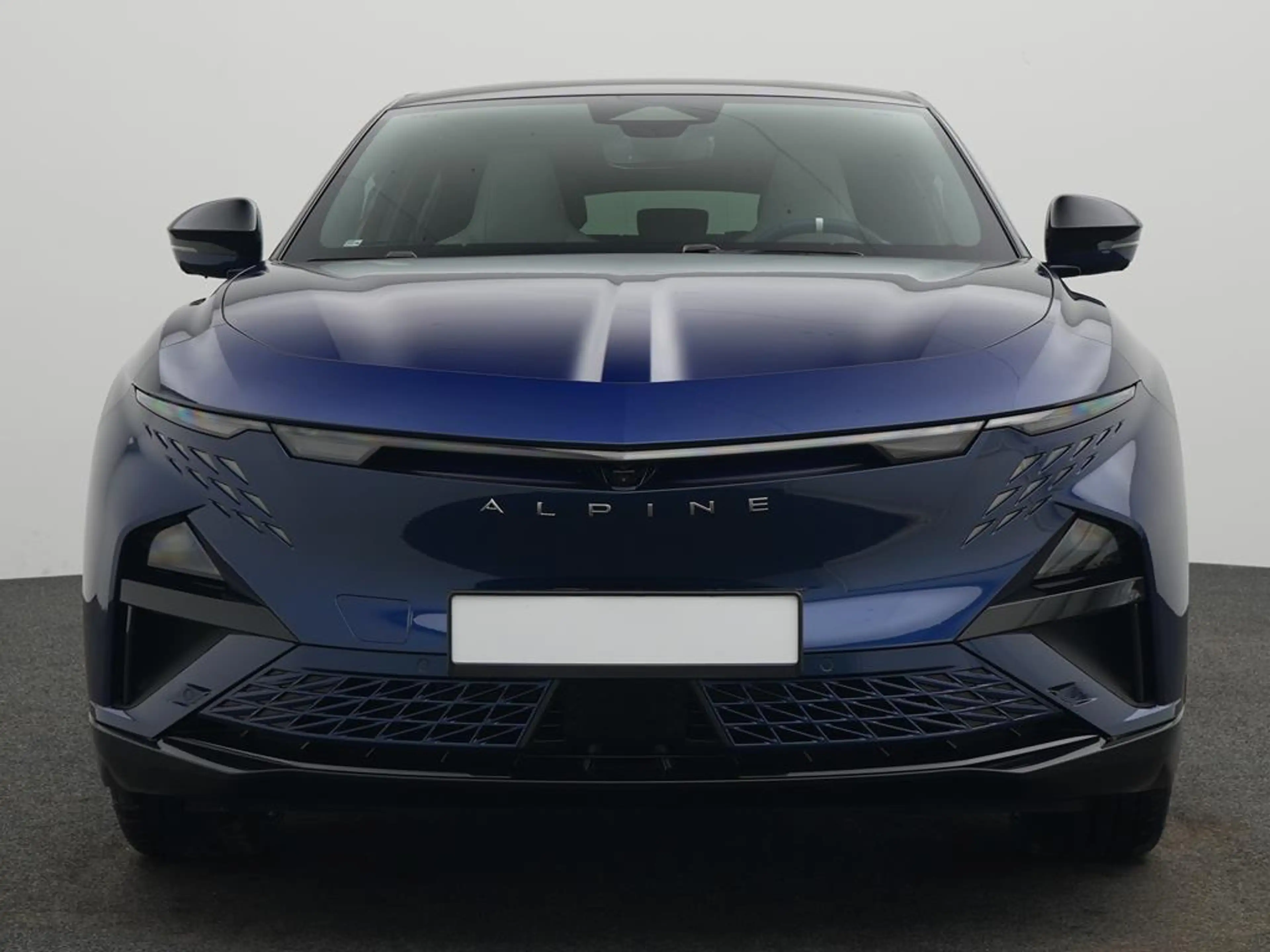Alpine A390 GT *BLEKER GRUPPE* — photo 3