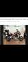 Ducati Multistrada 1260 Gran Tour S Gris - thumbnail 2